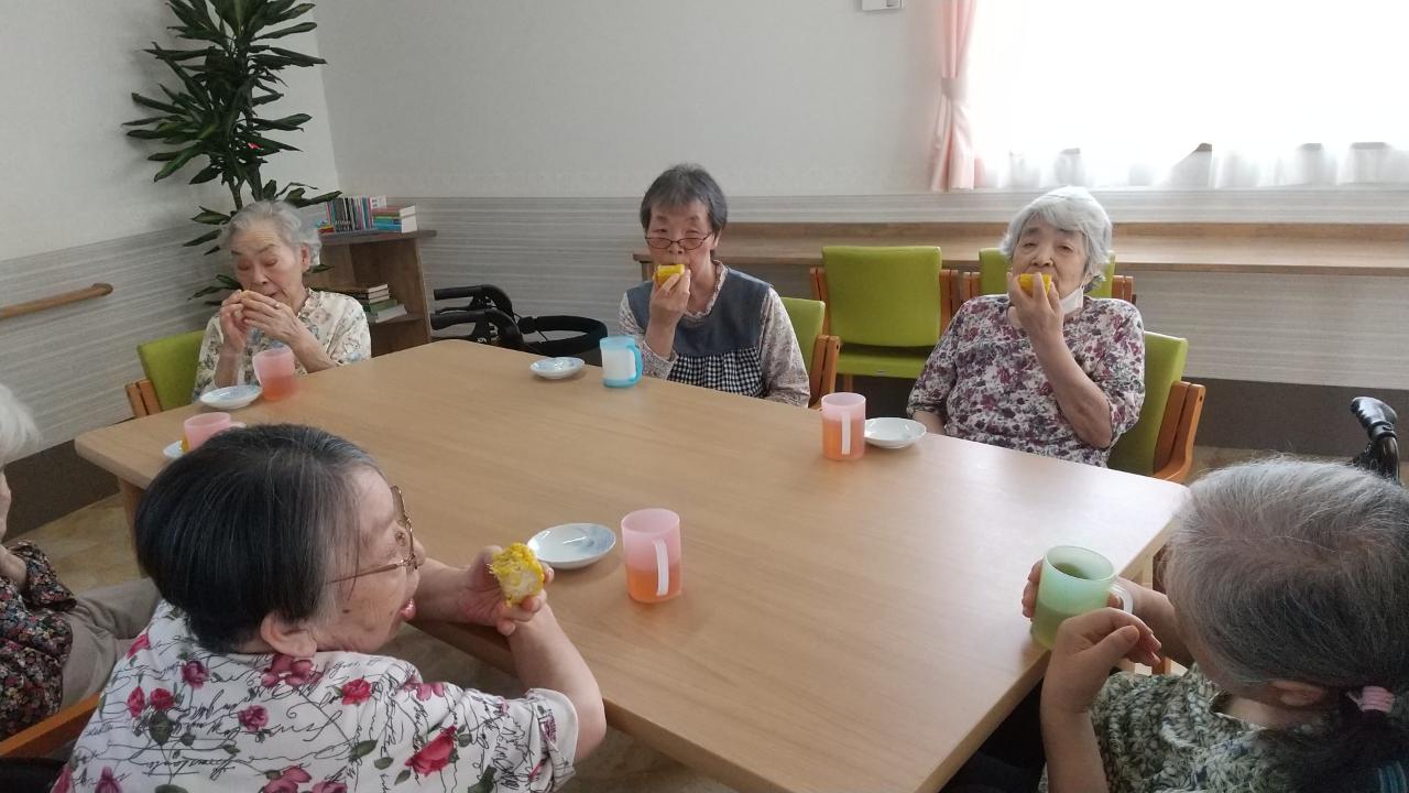 e8b7e783e9fd58d8eec9bc514a55ab28-TRIPART_0001_BURST20220817144241140_COVER