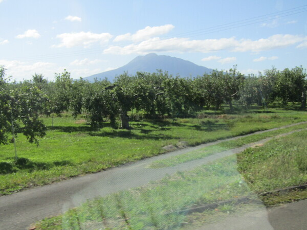 IMG_6937☆_コピー