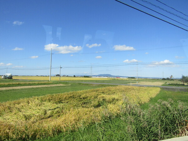 IMG_6942☆_コピー