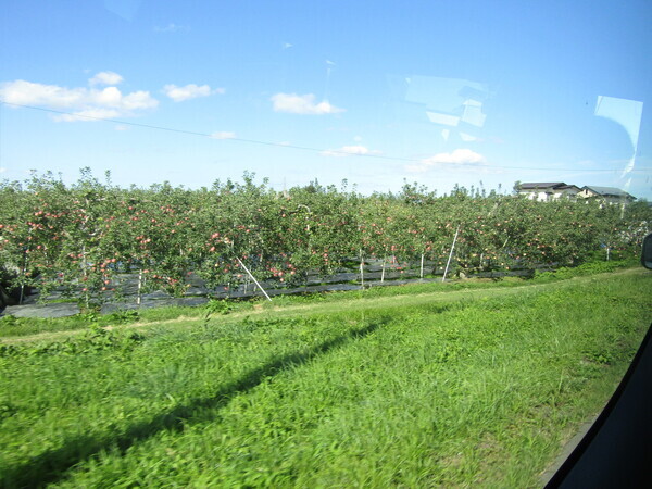 IMG_6943☆_コピー